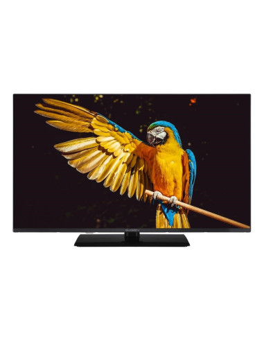 Telewizor Gogen Tvf32M340Stweb 32”