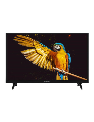 Telewizor Gogen Tvh24A336 24"