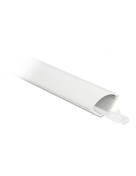 Delock Korytko Kablowe, Kątowe 43 X 23 Mm - Długość 1 M Białe