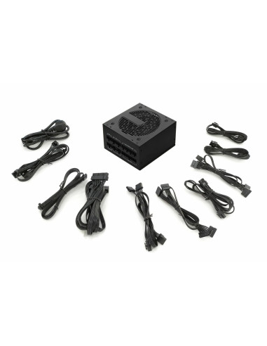 Zasilacz Inca Ips-1050Xn