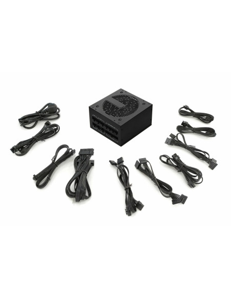 Zasilacz Inca Ips-1050Xn