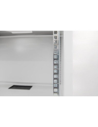 Digitus Szafa Sieciowa Wisząca 19" 12U Rack 540X400, Drzwi Szyba, Szary, Niedzielona, Niezłożona, 60Kg