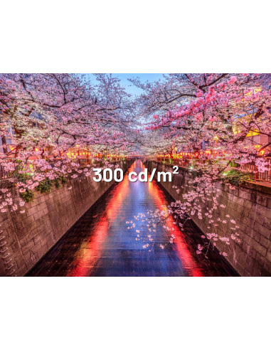 Monitor Japannext 60,5Cm Jn-I238Fhd120F-Hsp-Ye 16:9 Hdmi Żółty Fhd