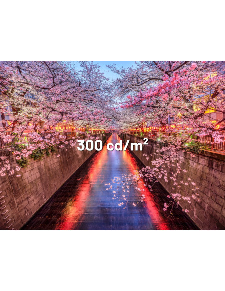 Monitor Japannext 60,5Cm Jn-I238Fhd120F-Hsp-Ye 16:9 Hdmi Żółty Fhd