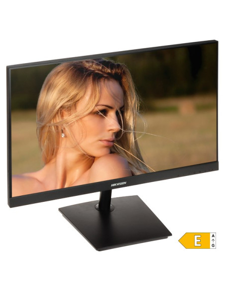 Monitor Hikvision Ds-D5024F2-Ap2