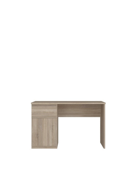 Desk Brown 60X120X75.3
