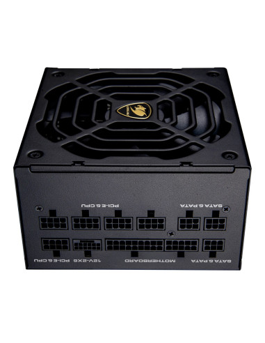 Cougar Cgrgdn-1000 Moduł Zasilaczy 1000 W 20+4 Pin Atx Atx Czarny