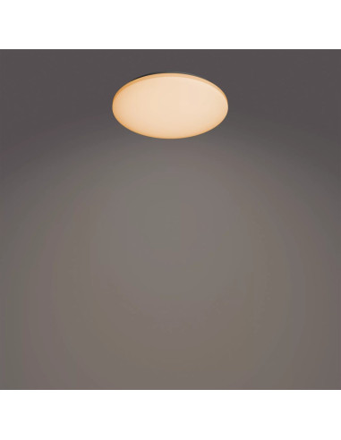 Philips Funkcjonalność Lampa Sufitowa Izso 40 W