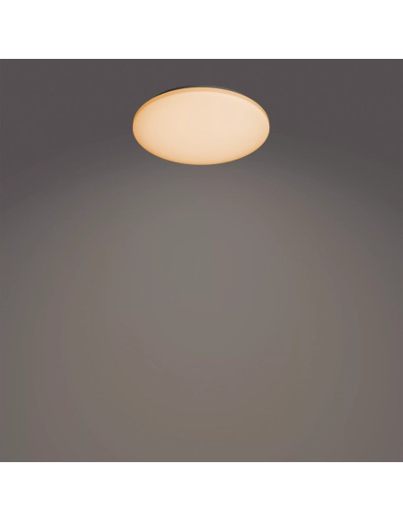 Philips Funkcjonalność Lampa Sufitowa Izso 40 W