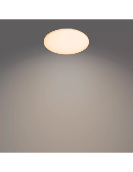 Philips Funkcjonalność Lampa Sufitowa Izso 40 W