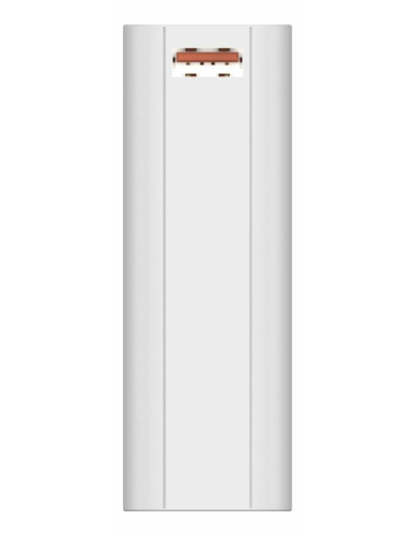 Ansmann Pb222Pd Litowo-Polimerowy (Lipo) 20000 Mah Biały