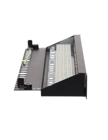 Patch Panel 19" Netrack 24-Porty Kat. 6A Ftp Wyposażony