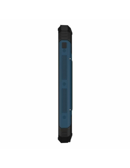 Ansmann Pb212W Litowo-Polimerowy (Lipo) 10000 Mah Czarny, Niebieski