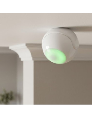 Czyjnik Ruchu Nice Motion-Control (Fgms-001 Zw5 Eu)