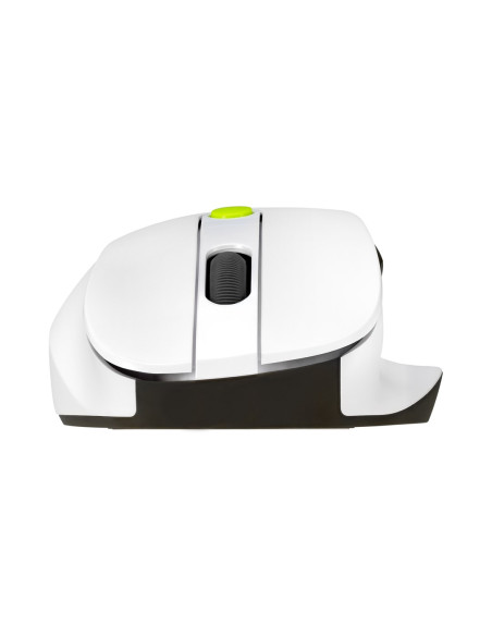 Mysz Bezprzewodowa Asus Md105 Wireless Mouse Volt Green 2400Dpi Dual-Mode Wireless 2.4 Ghz And Bluetooth