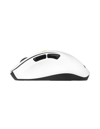 Mysz Bezprzewodowa Asus Md105 Wireless Mouse Volt Green 2400Dpi Dual-Mode Wireless 2.4 Ghz And Bluetooth