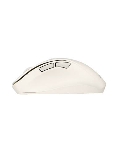 Mysz Bezprzewodowa Asus Md105 Wireless Mouse Milky White 2400Dpi Dual-Mode Wireless 2.4 Ghz And Bluetooth