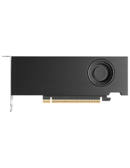 Nvidia Rtx Pro 2000 Blackwell 16 Gb Gddr7