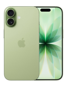 Apple Iphone 17 16 Cm (6.3") Dual Sim Ios 26 5G Usb Type-C 256 Gb Szałwia