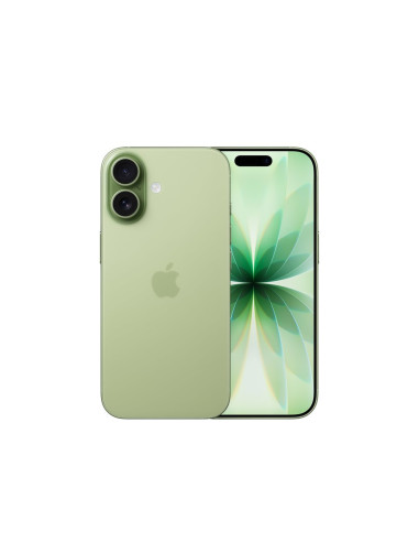 Apple Iphone 17 16 Cm (6.3") Dual Sim Ios 26 5G Usb Type-C 256 Gb Szałwia