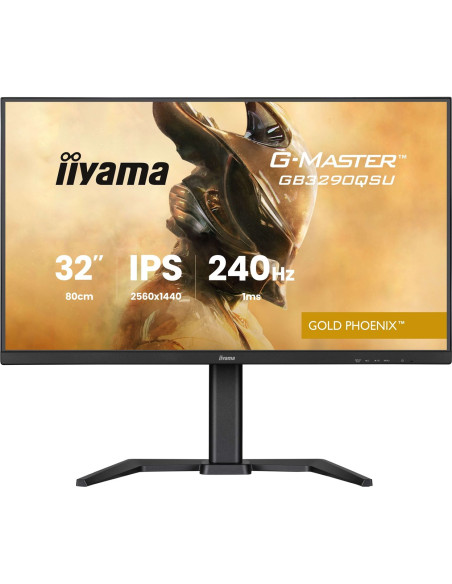 Monitor Iiyama Led 31,5” Gb3290Qsu-B1 240Hz