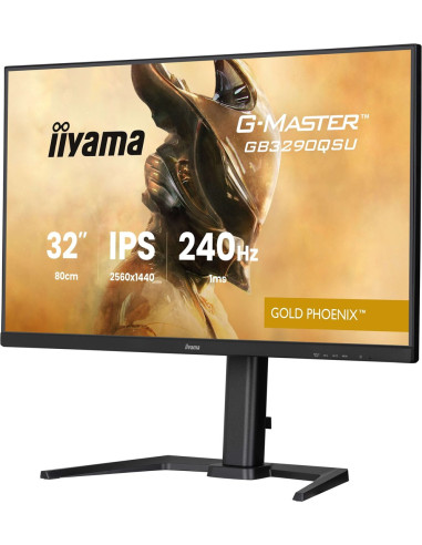 Monitor Iiyama Led 31,5” Gb3290Qsu-B1 240Hz