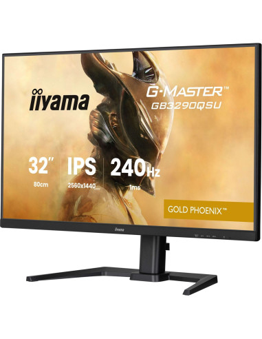 Monitor Iiyama Led 31,5” Gb3290Qsu-B1 240Hz
