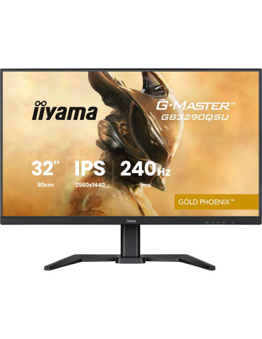 Monitor Iiyama Led 31,5” Gb3290Qsu-B1 240Hz