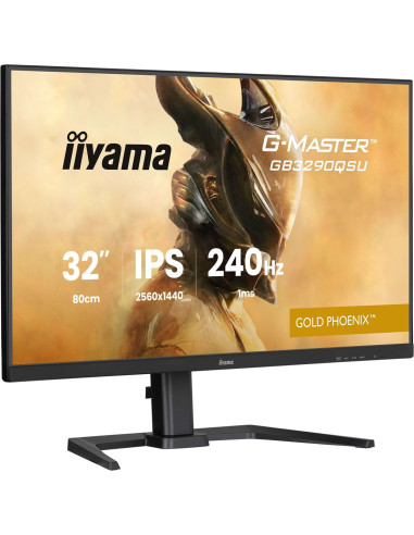 Monitor Iiyama Led 31,5” Gb3290Qsu-B1 240Hz