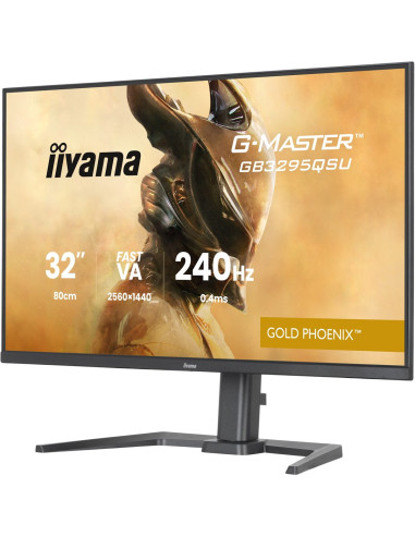 Monitor Iiyama Led 31,5” Gb3295Qsu-B1 240Hz