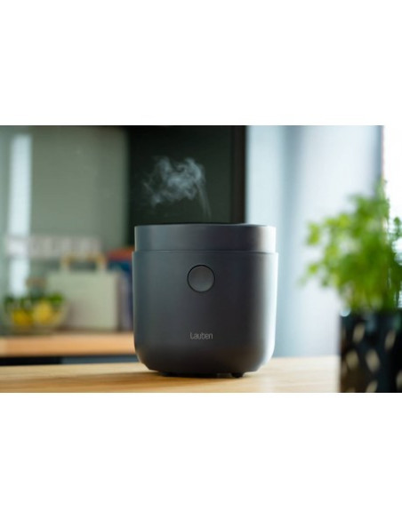 Ryżowar Lauben Low Sugar Rice Cooker 1500At