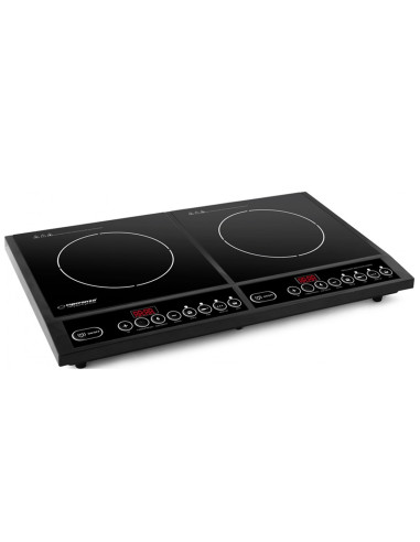 Kuchenka Indukcyjna Nastawna Dwupalnikowa 2000W + 2000W Blow