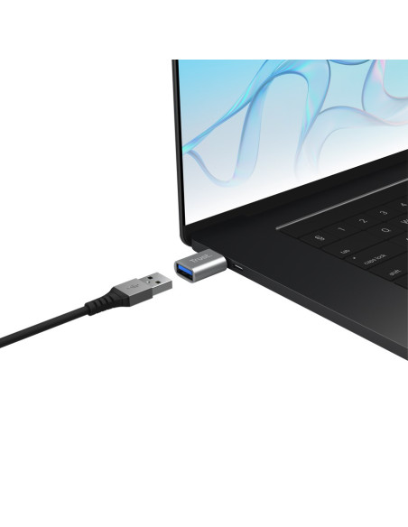 Przejściówka Trust Calyx Usb-C Na Usb-A 2-Pak