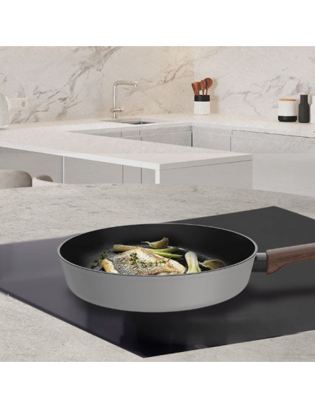 Patelnia Grey 20Cm Mr-1211-20 Maestro