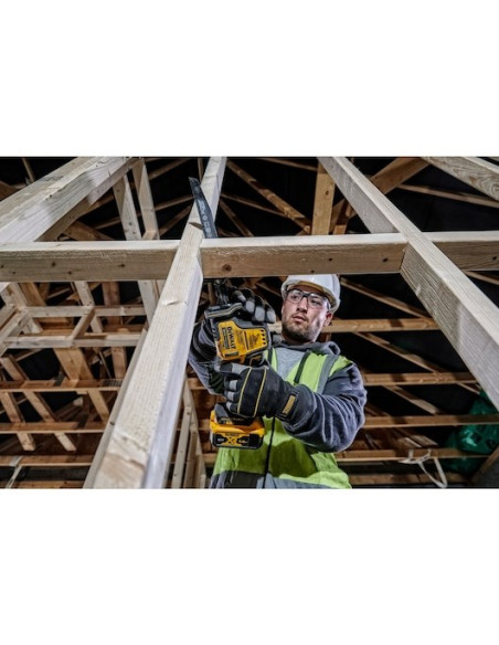 Dewalt Dcs369P2-Qw Piła Szablasta