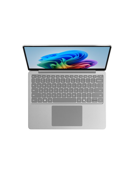 Laptop Microsoft Surface Pro Copilot+ Ep2-36981Dx Pc Snapdragon X Plus/13" Fhd (1920X1280)Touchscreen/16Gb/Ssd 256Gb/Bt/Blkb/Win