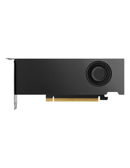 Nvidia Rtx 2000 Ada Generation - Karta Graficzna - Pci-Express