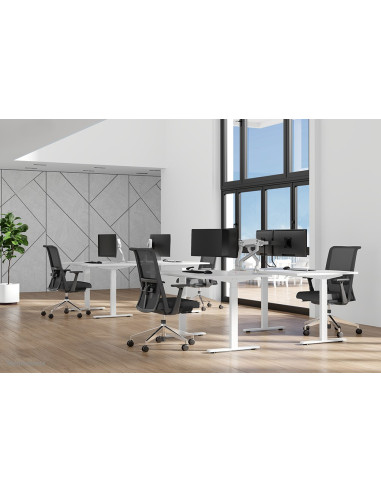Neomounts Ds75S-950Wh2 Uchwyt / Stojak Do Monitorów 81,3 Cm (32") Biurko Biały