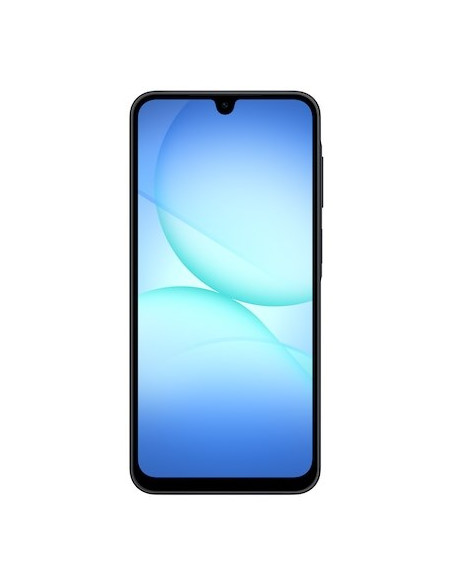 Samsung Galaxy A17 Lte 17 Cm (6.7") Hybrid Dual Sim 4G Usb Type-C 8 Gb 256 Gb 5000 Mah Czarny