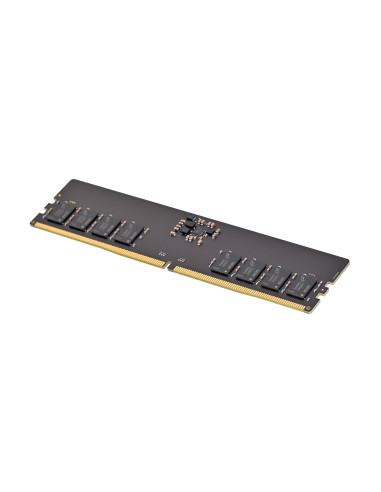 Pny Performance Ddr5 5600Mhz 16G Moduł Pamięci 16 Gb 1 X 16 Gb 288-Pin Dimm