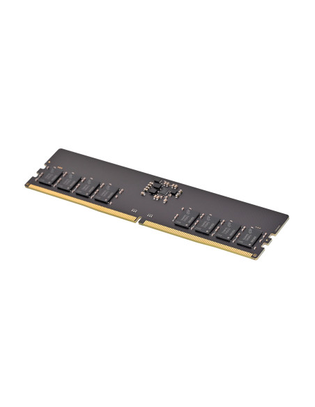 Pny Performance Ddr5 5600Mhz 16G Moduł Pamięci 16 Gb 1 X 16 Gb 288-Pin Dimm