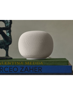 Google Home Speaker 2