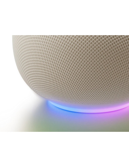 Google Home Speaker