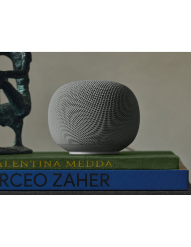 Google Home Speaker