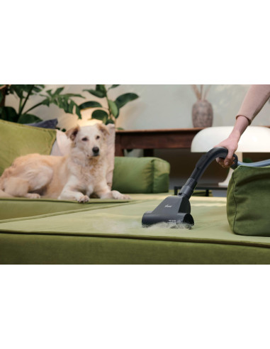 Hoover Hp210P 011 2,5 L Cylinder Próżniowy Suchy 800 W Bez Worka
