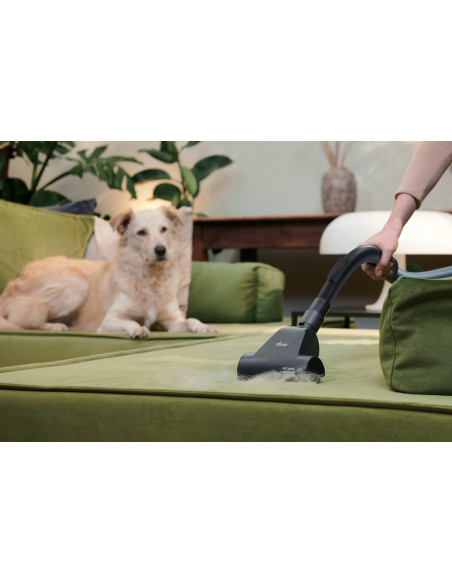 Hoover Hp210P 011 2,5 L Cylinder Próżniowy Suchy 800 W Bez Worka