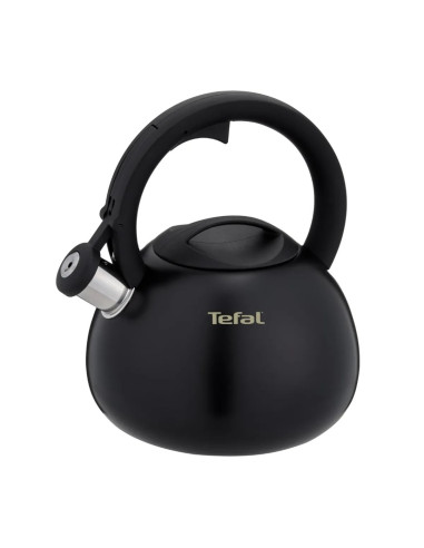 Czajnik Nieelektryczny Tefal N4180410