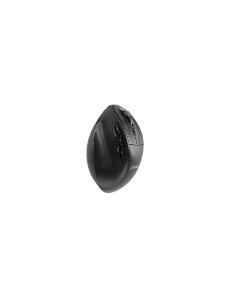 Gembird Bezprzewodowa, Ergonomiczna Mysz Tri Mode (2.4G + Bt + Usb) 2400 Dpi, 9 Przycisków, Czarna