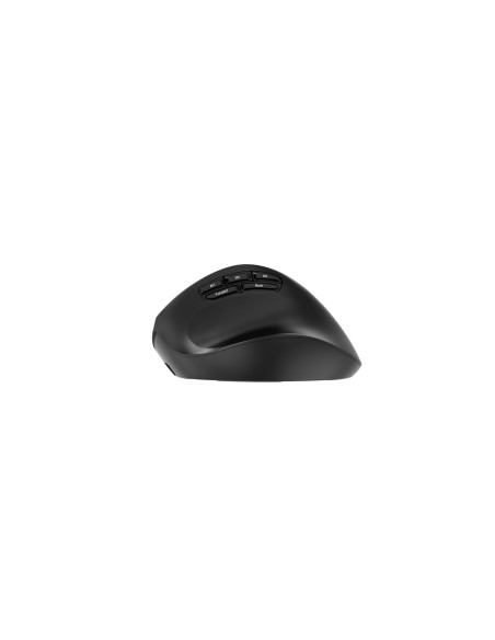 Gembird Bezprzewodowa, Ergonomiczna Mysz Tri Mode (2.4G + Bt + Usb) 2400 Dpi, 9 Przycisków, Czarna