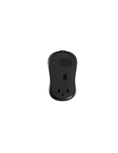 Gembird Mysz Bezprzewodowa Dual Mode (2.4G + Bt) 1600 Dpi, 4 Przyciski, Kolor Czarny